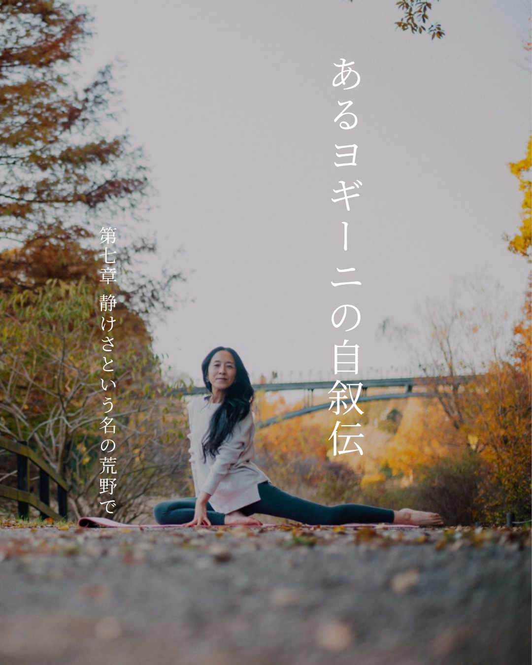 【あるヨギーニの自叙伝】最終章：すべての沈黙が、光に変わるまで